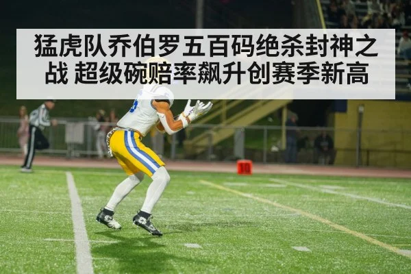 猛虎队乔伯罗五百码绝杀封神之战 超级碗赔率飙升创赛季新高