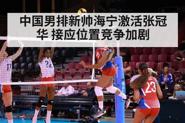 中国男排新帅海宁激活张冠华 接应位置竞争加剧