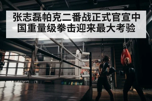 boxer training